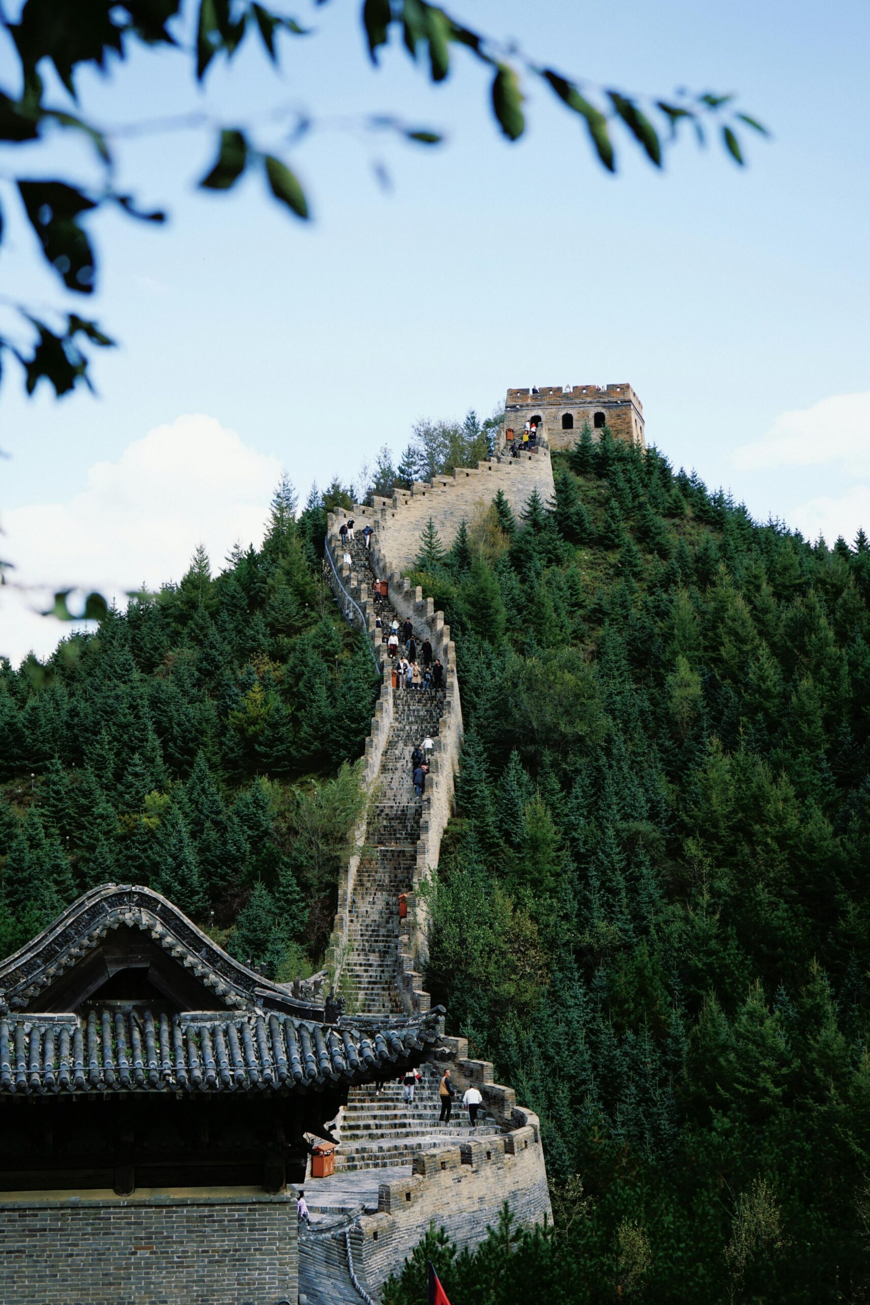 pexels xiaodong zhang 207745687 29605142 scaled